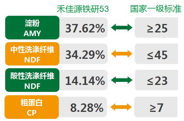 青貯玉米營(yíng)養(yǎng)價(jià)值高